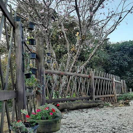 Casa Kiiro, Um Ambiente Tranquilo E De Sossego. Villa Santo Antonio do Pinhal Ngoại thất bức ảnh