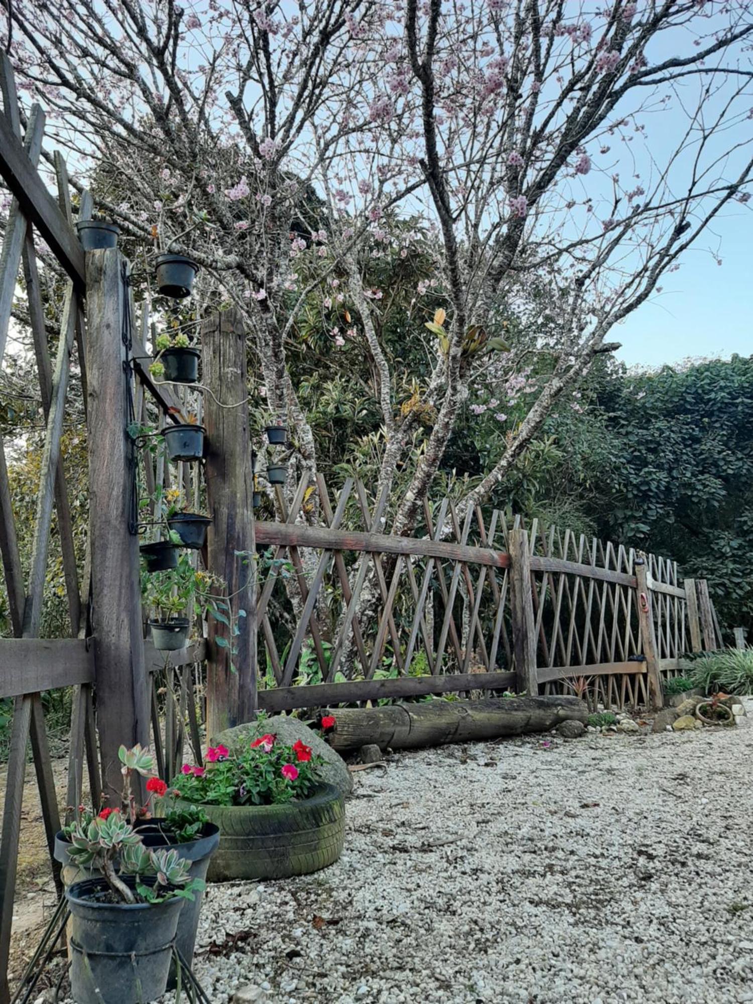 Casa Kiiro, Um Ambiente Tranquilo E De Sossego. Villa Santo Antonio do Pinhal Ngoại thất bức ảnh