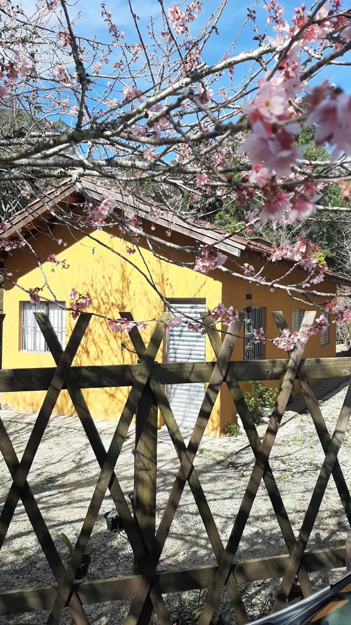 Casa Kiiro, Um Ambiente Tranquilo E De Sossego. Villa Santo Antonio do Pinhal Ngoại thất bức ảnh